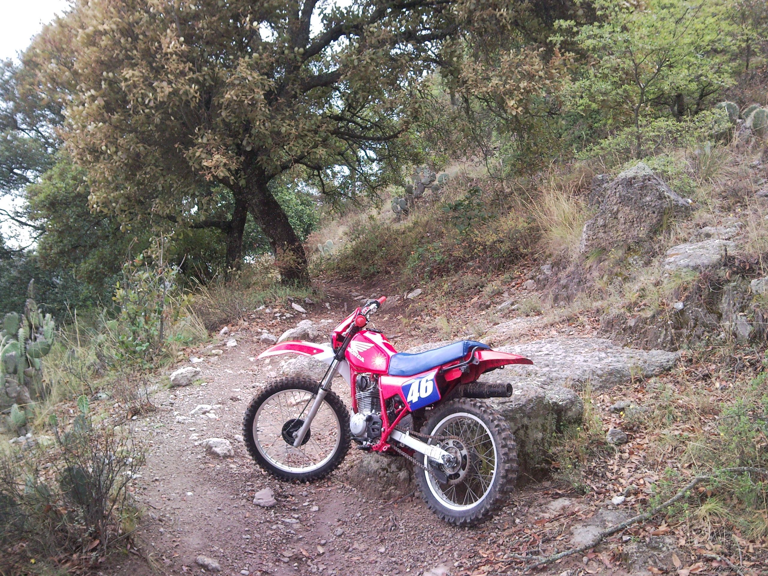 Bike Photo 1974868