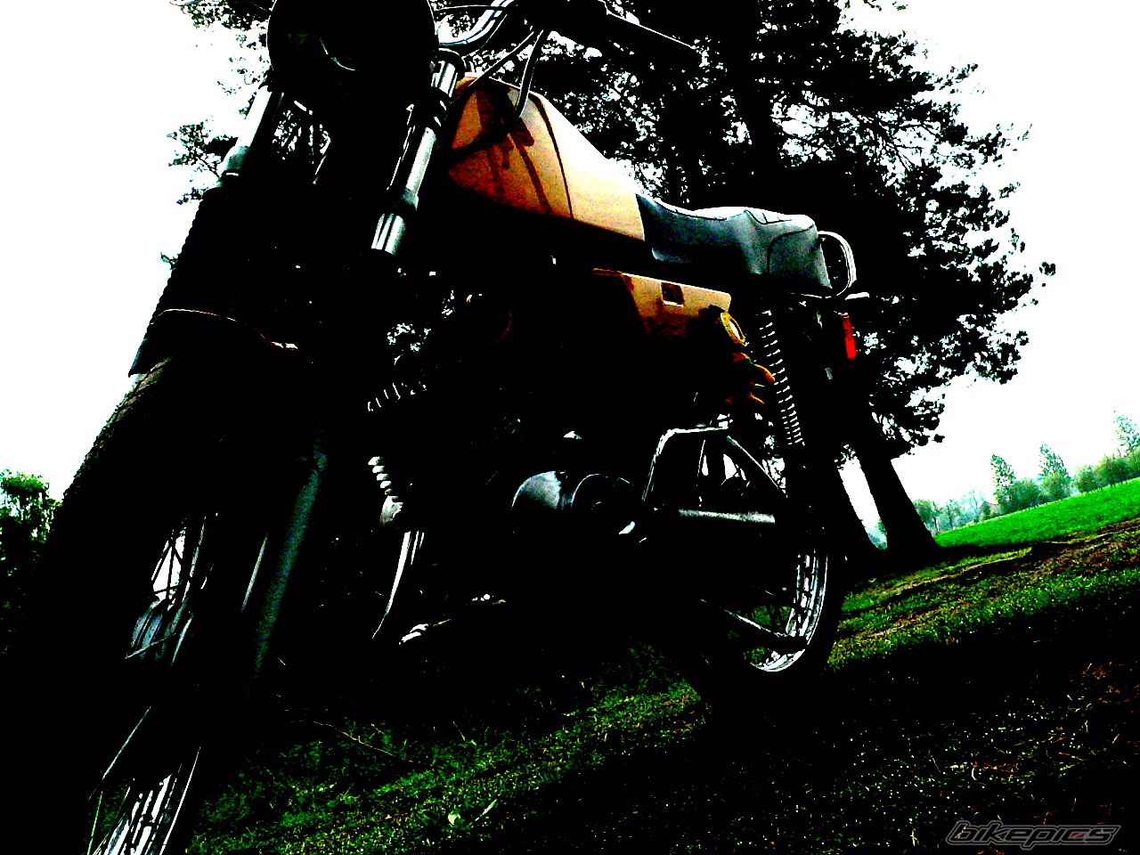 Photo 1975019
