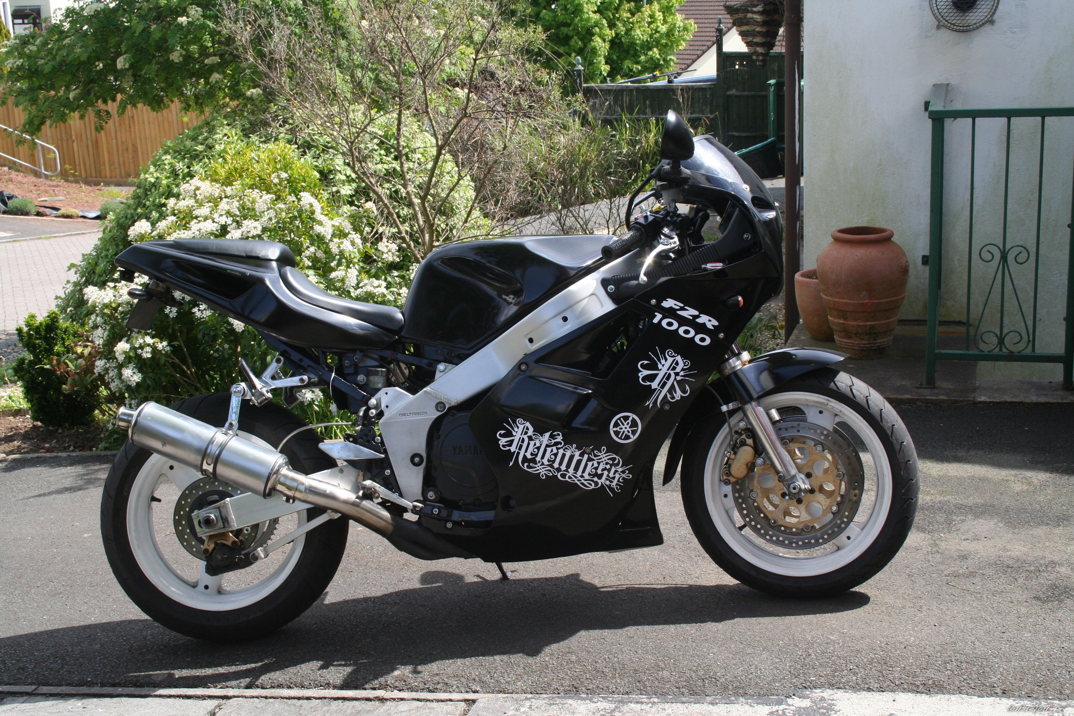 Photo 1975120