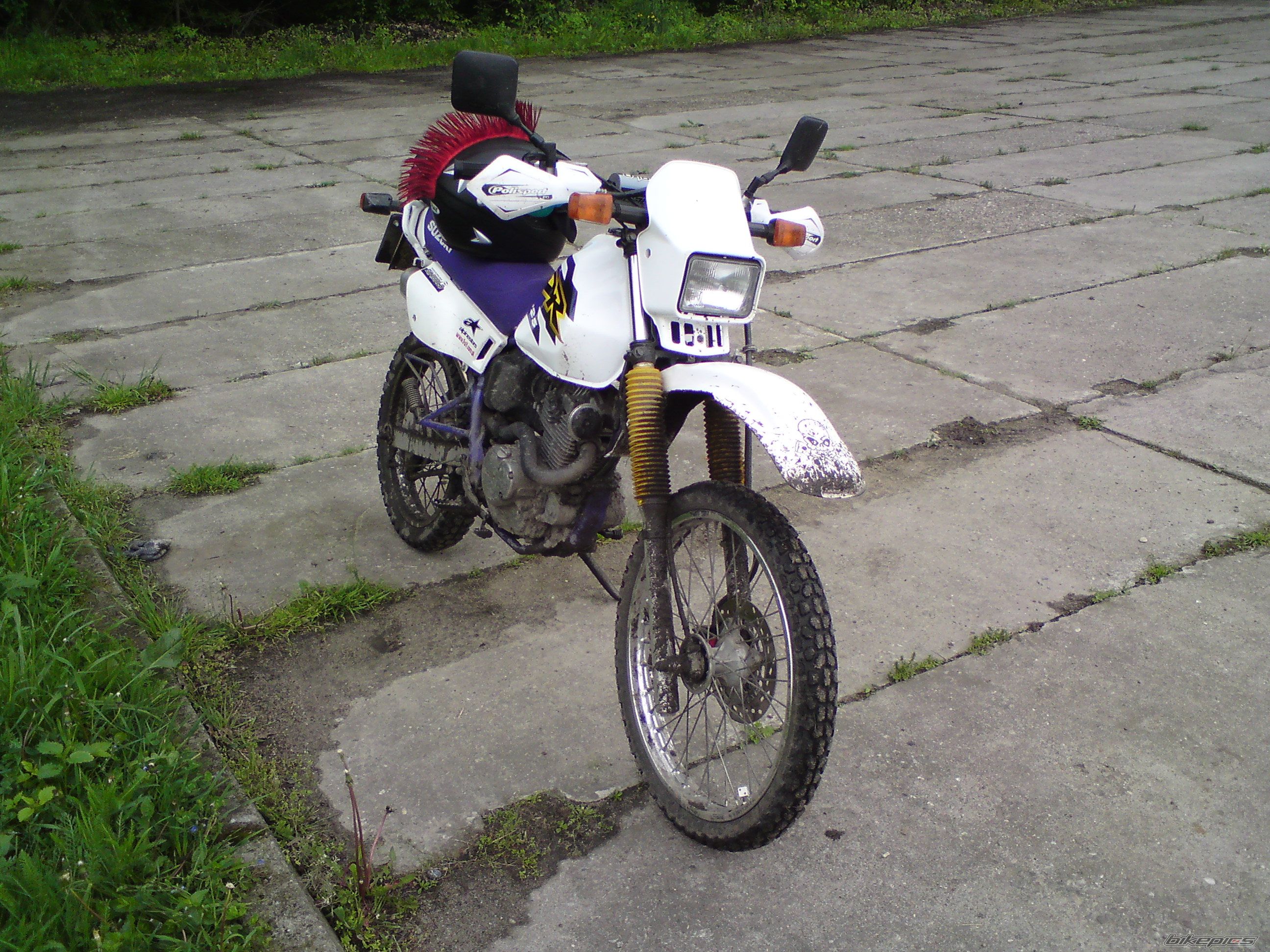 Photo 1975134