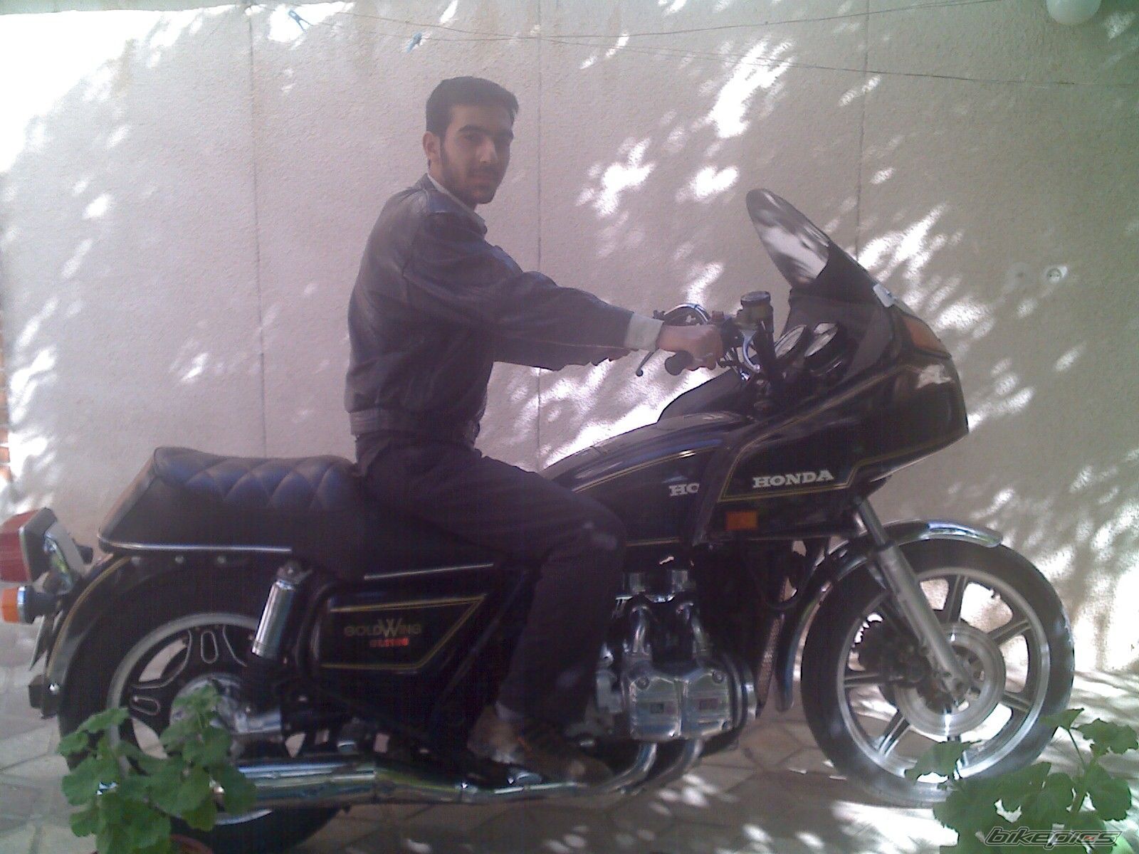 Photo 1975139