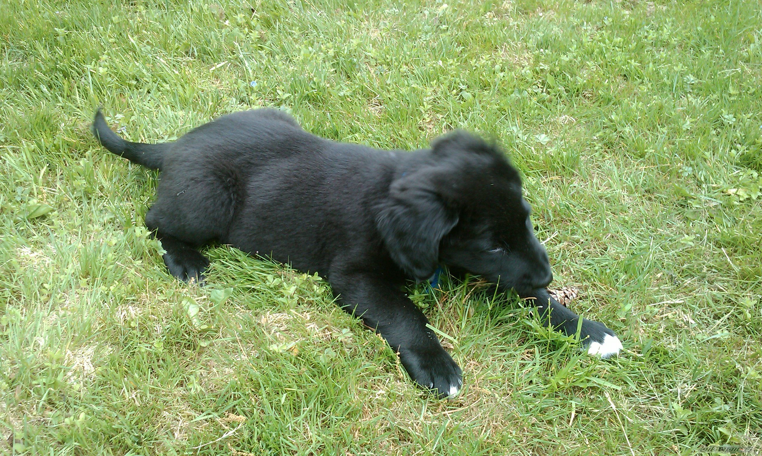 Photo 1975168
