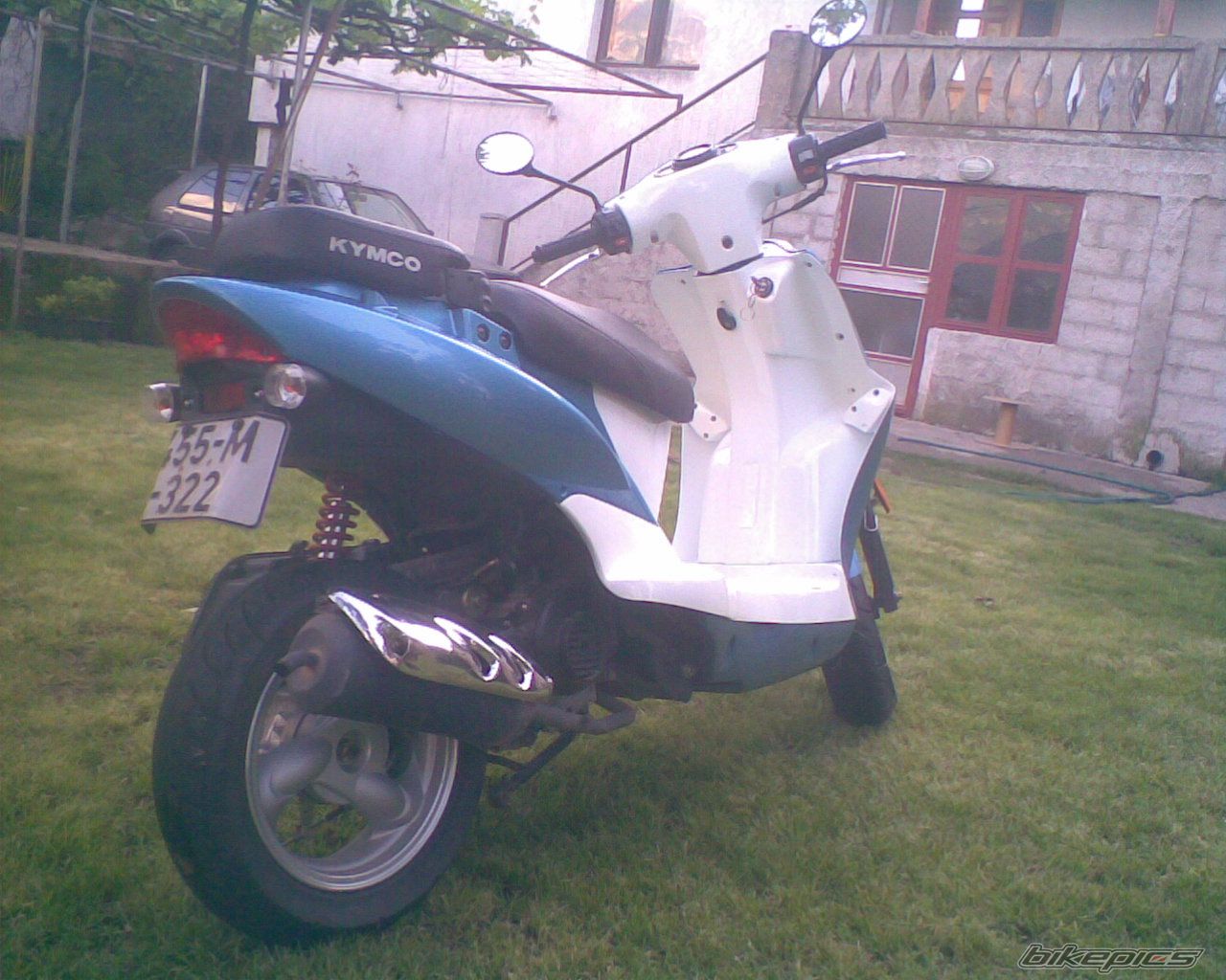 Photo 1975384