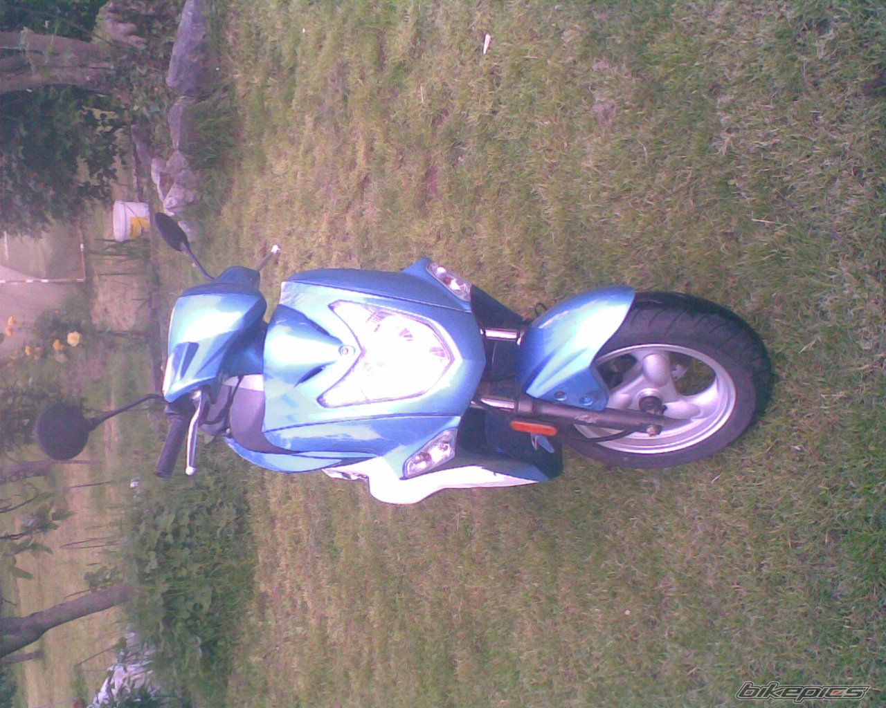 Photo 1975386