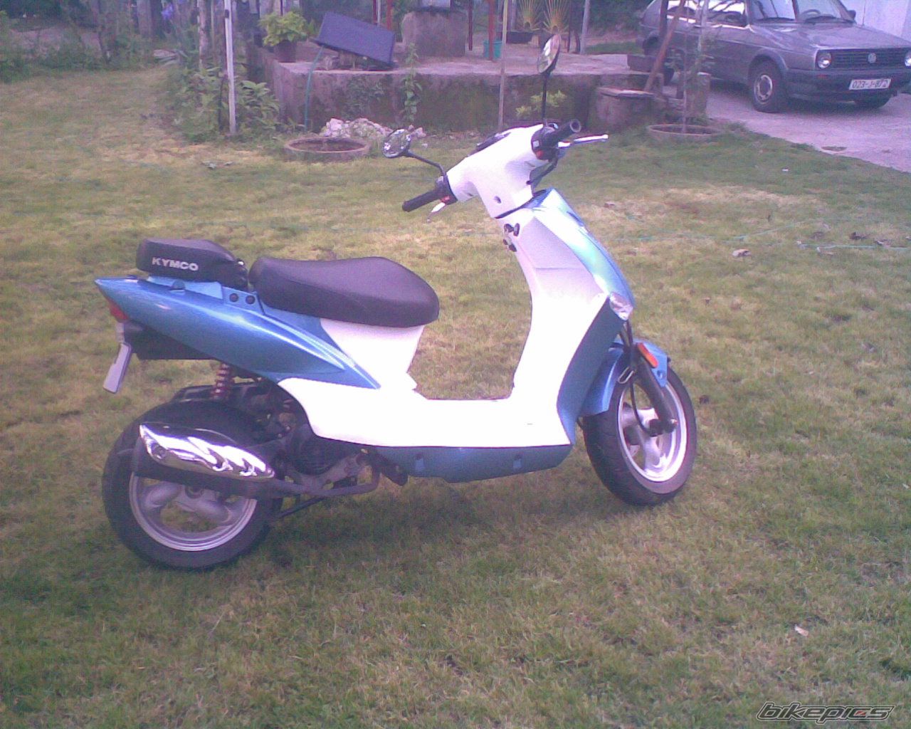 Photo 1975387