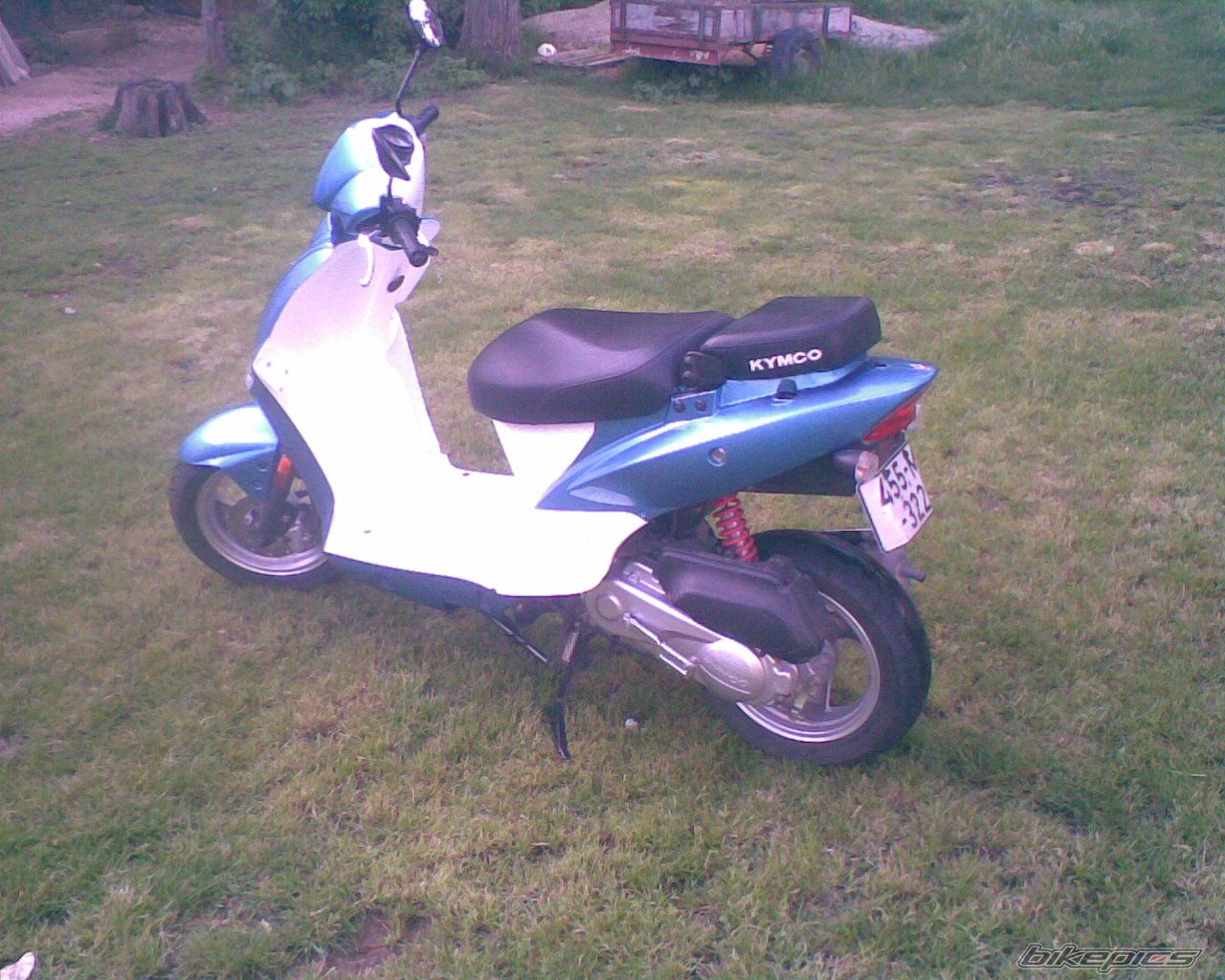 Photo 1975388