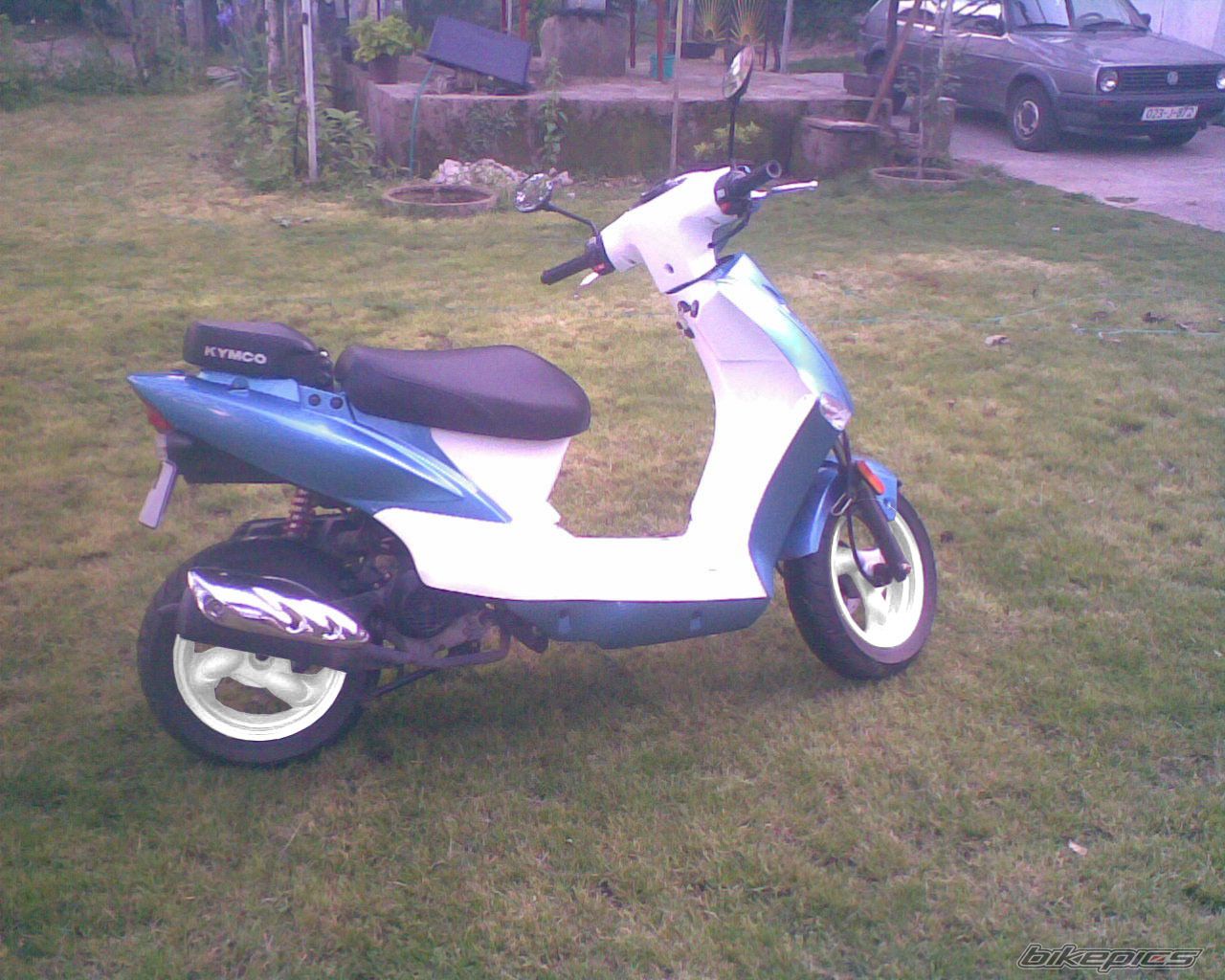Photo 1975390