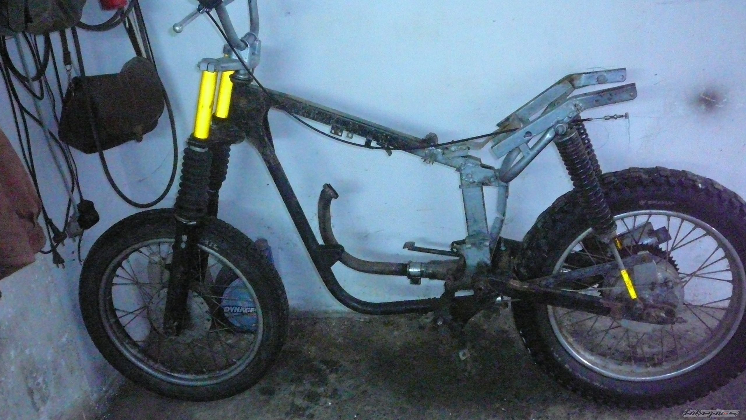 Photo 1975581