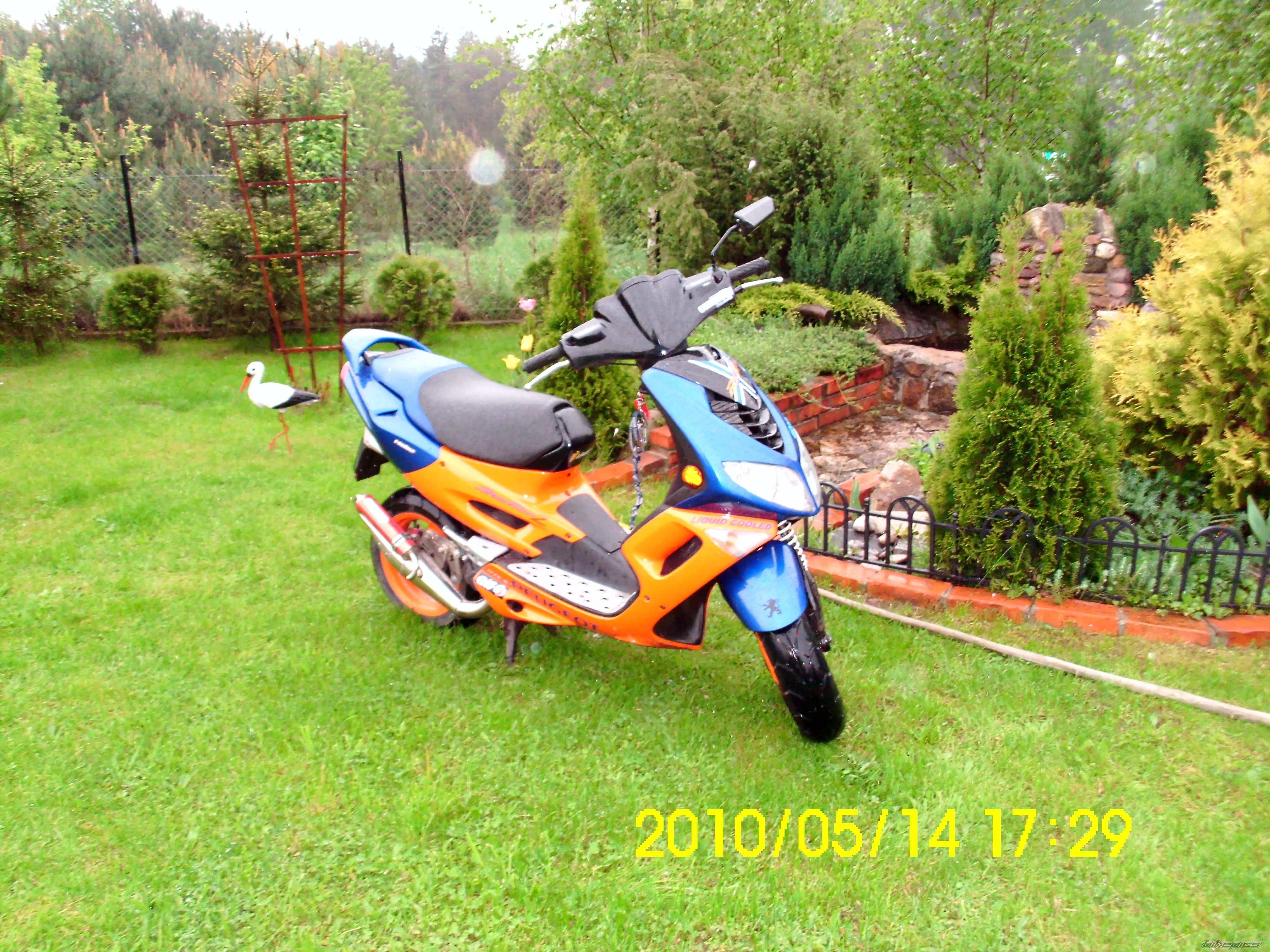 Photo 1975588