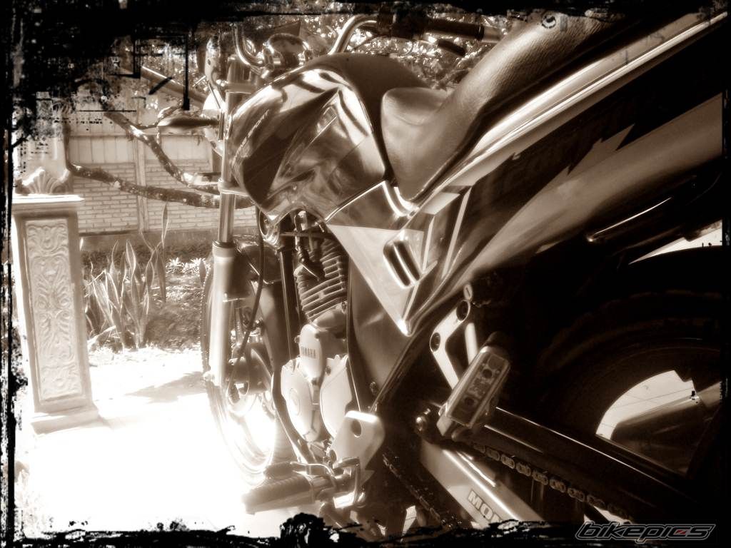 Photo 1975745