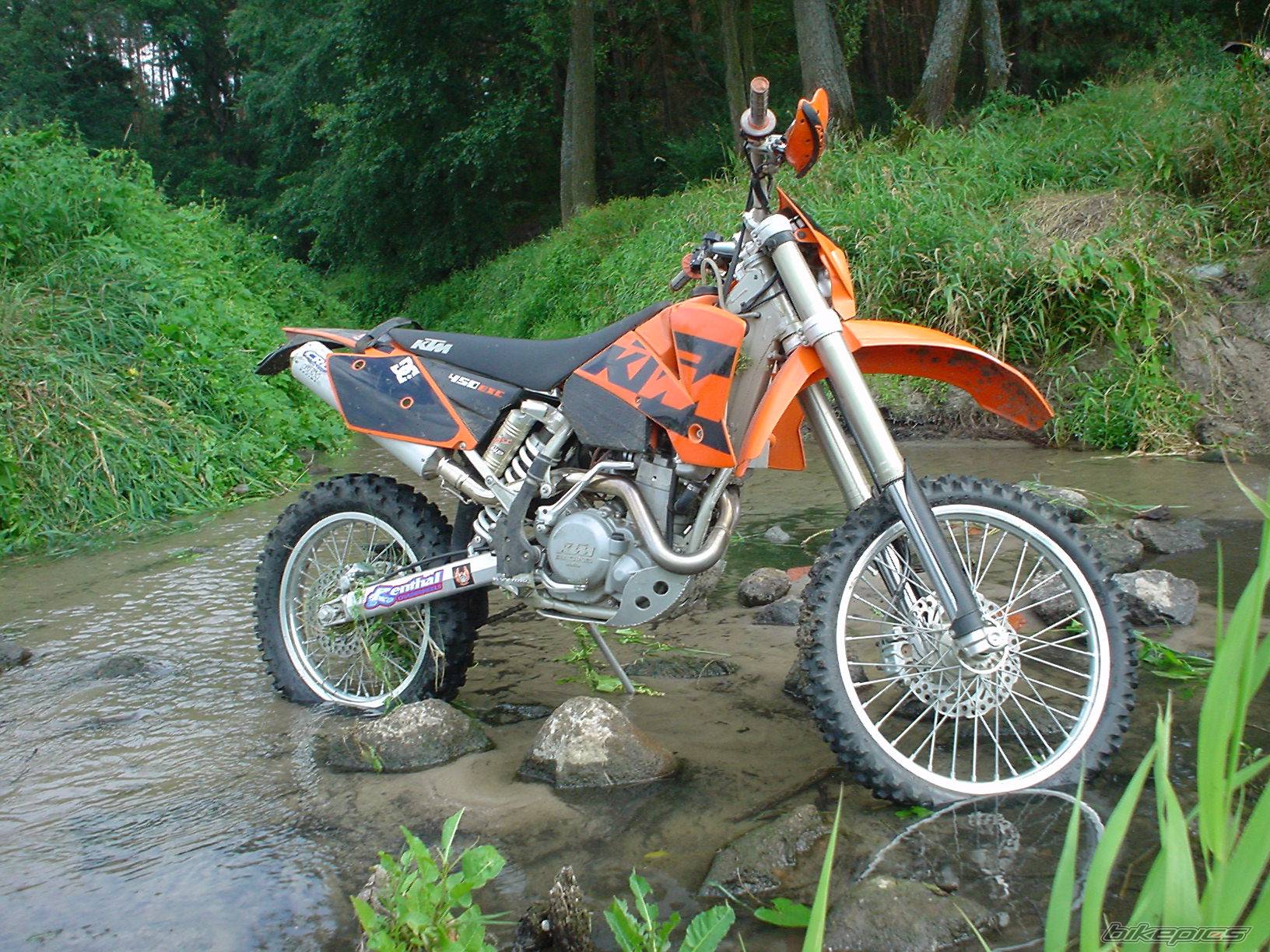 Photo 197575