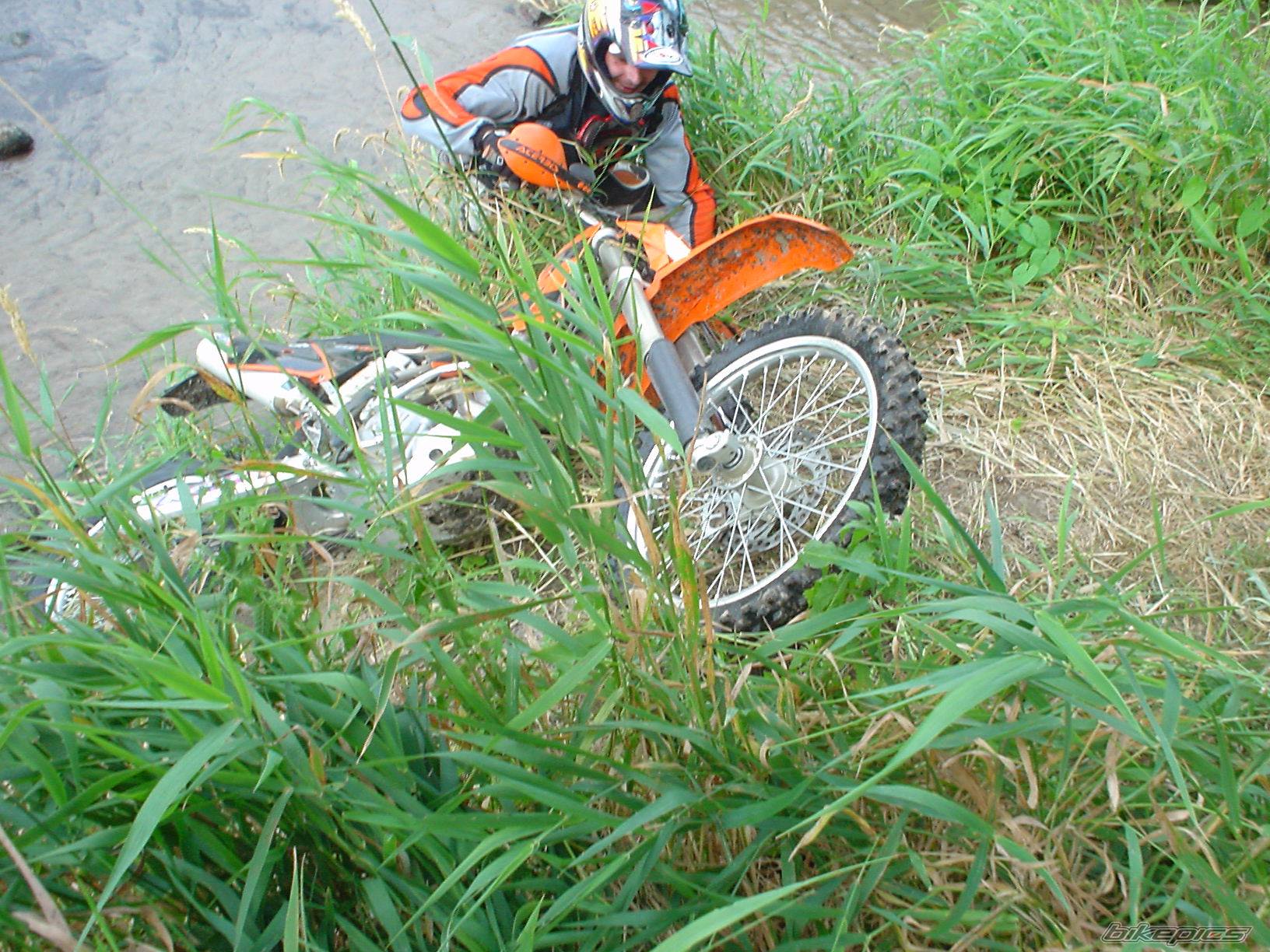 Photo 197576