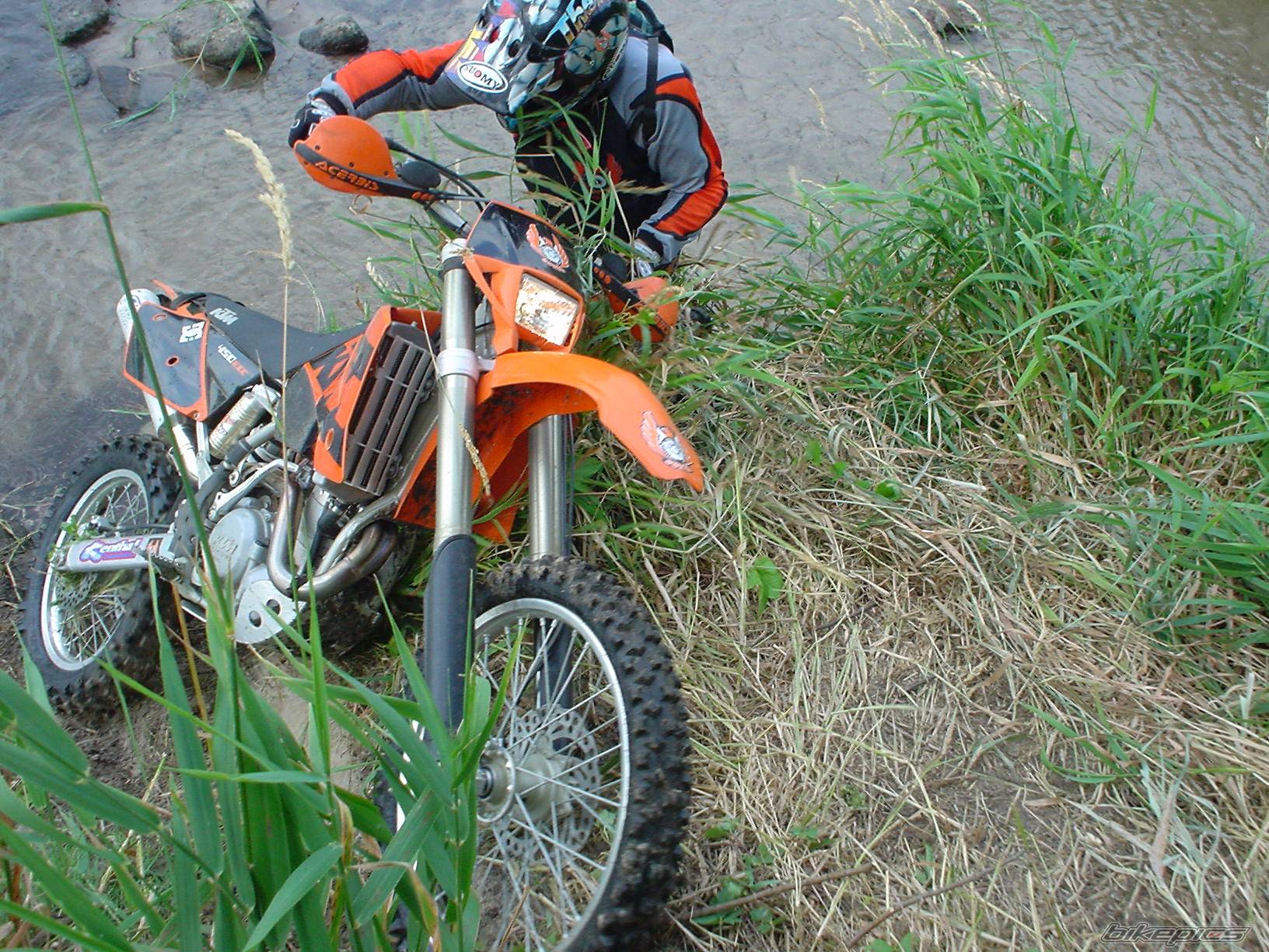 Photo 197577