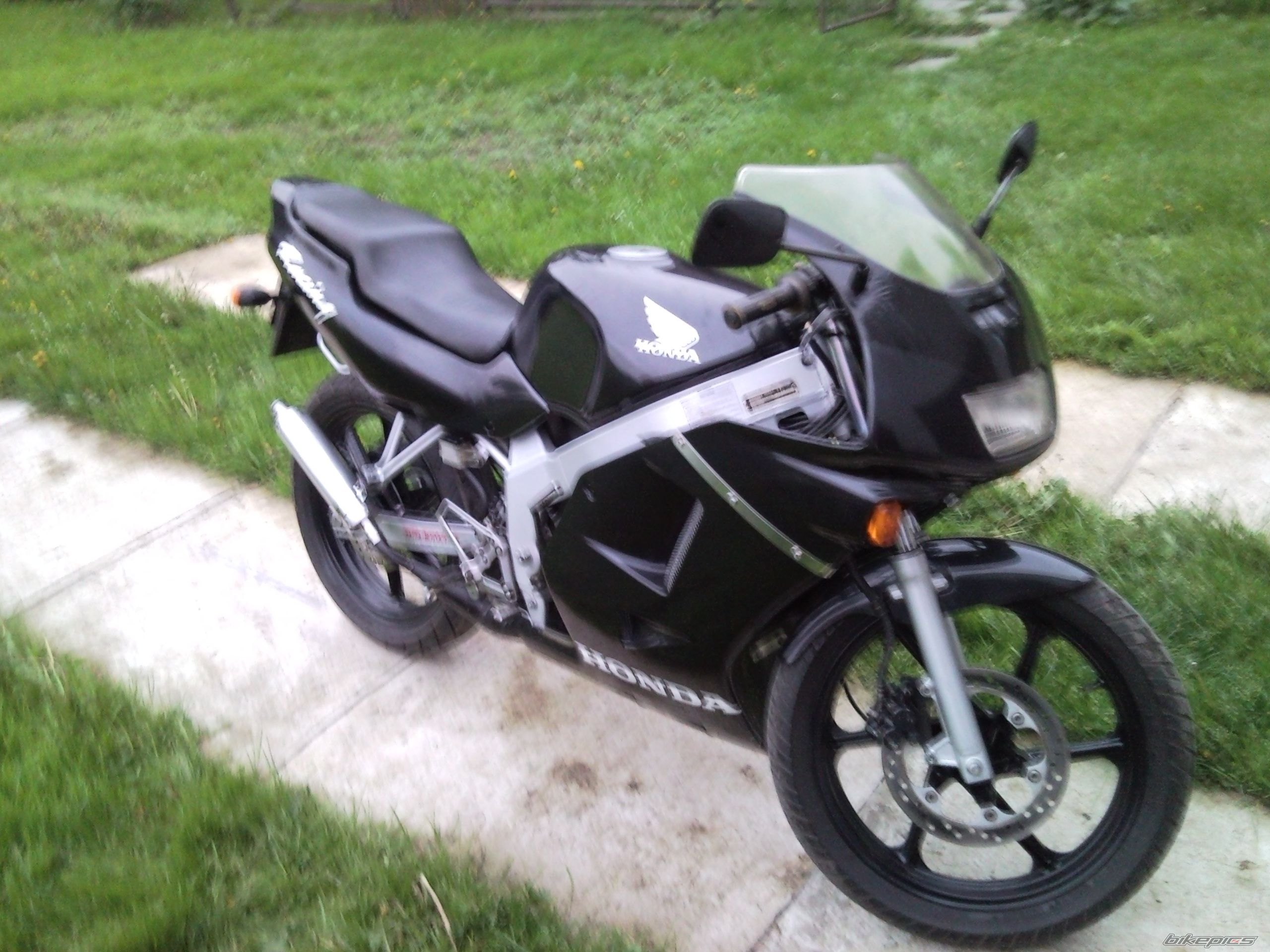 Photo 1975880