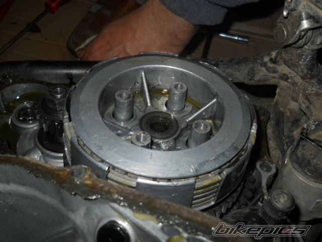 Photo 1975913