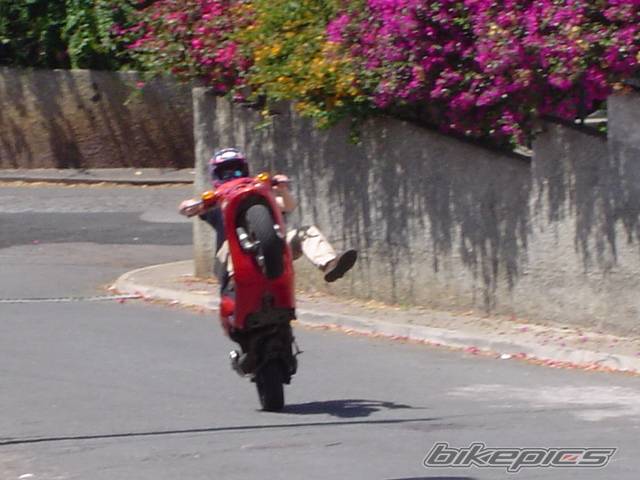 Photo 197601