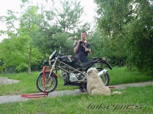 Bike Photo 197604
