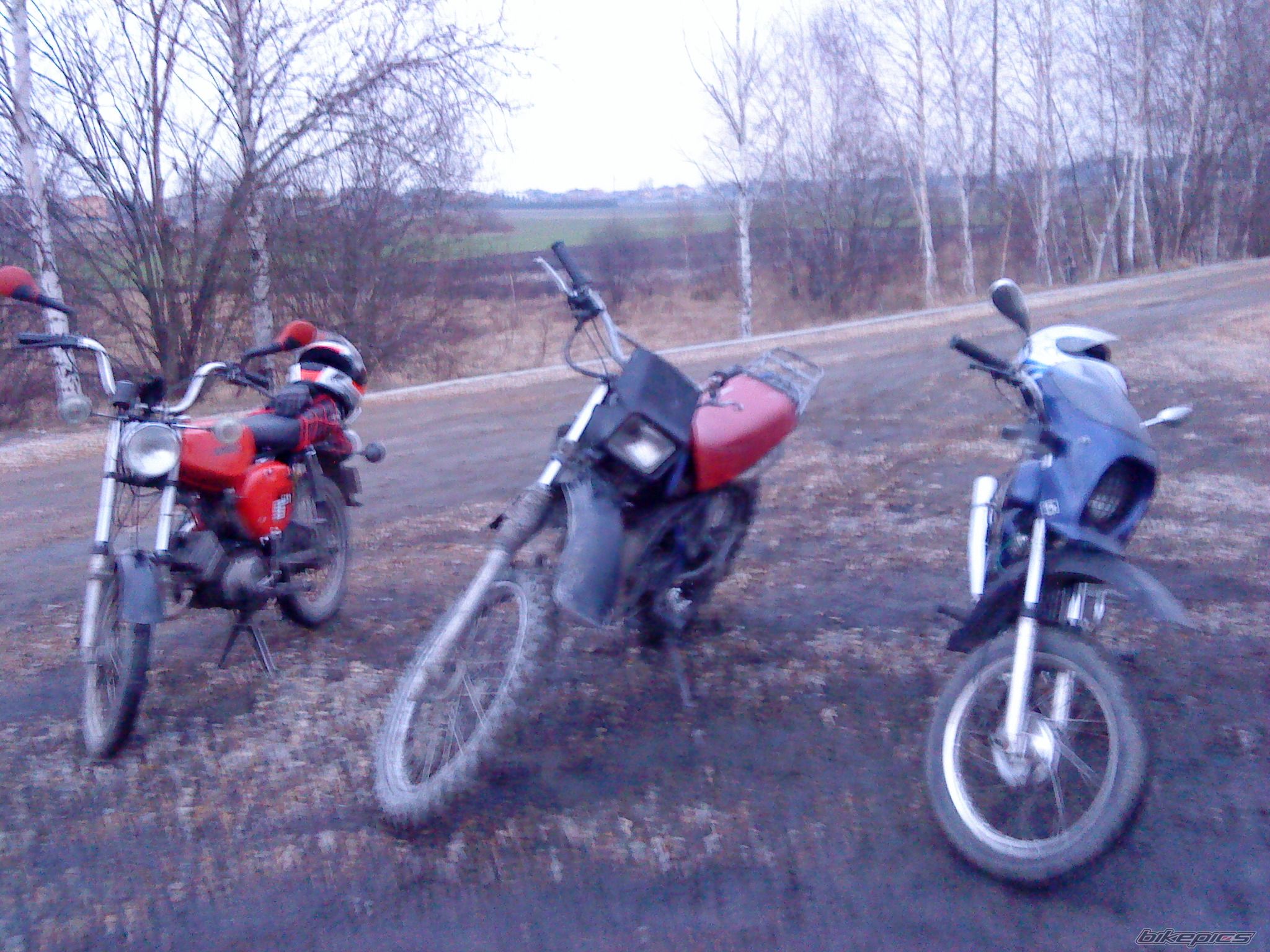 Photo 1976118