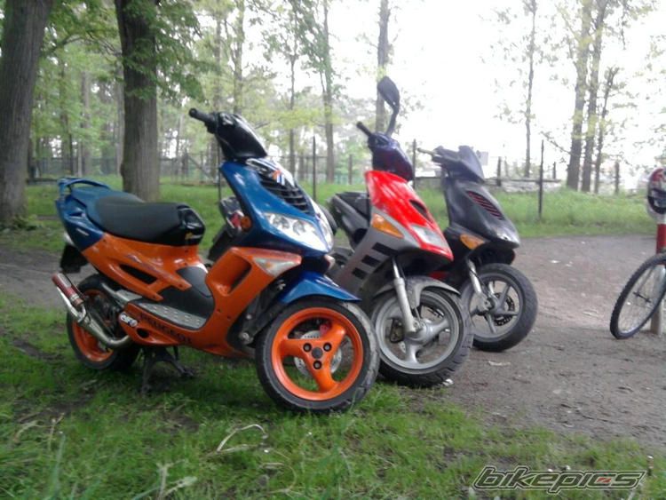 Photo 1976132