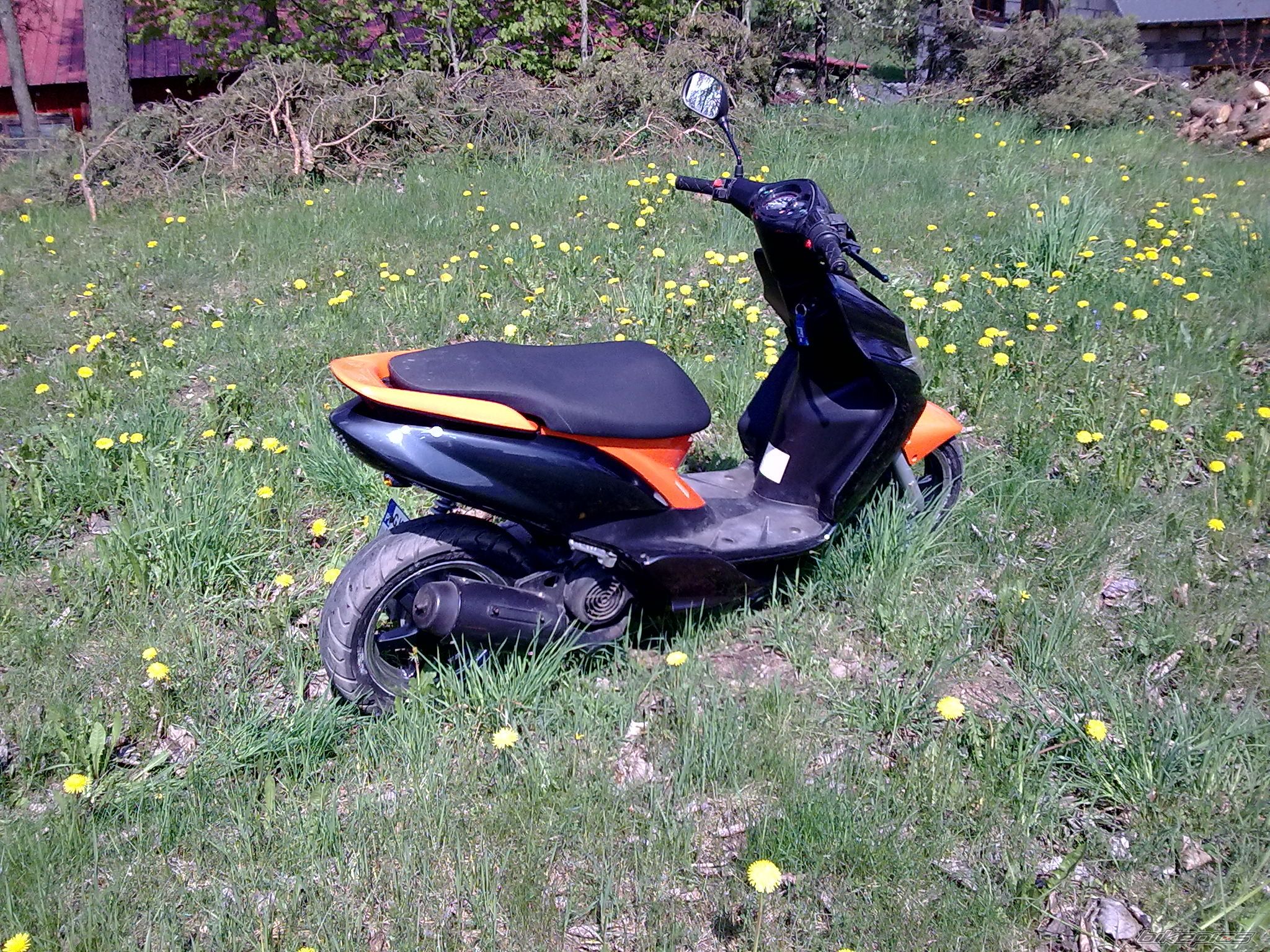 Photo 1976175