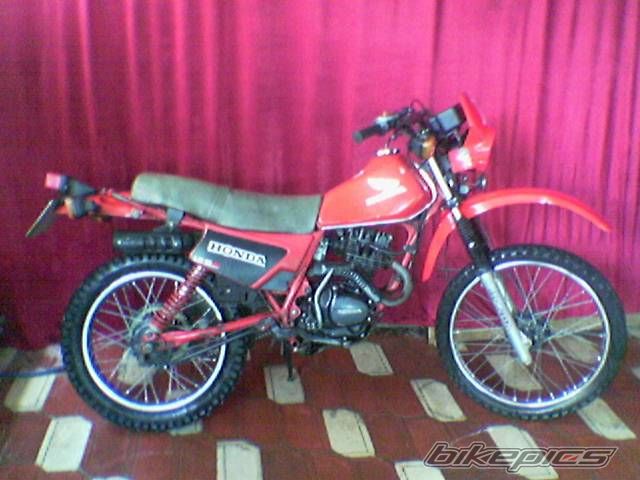 Photo 1976187