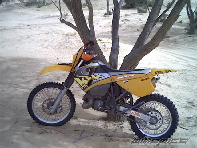 Photo 197621