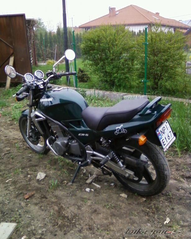 Photo 1976219