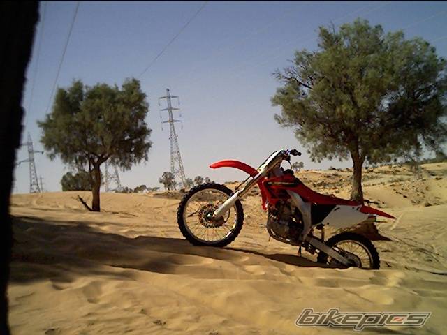 Photo 197625