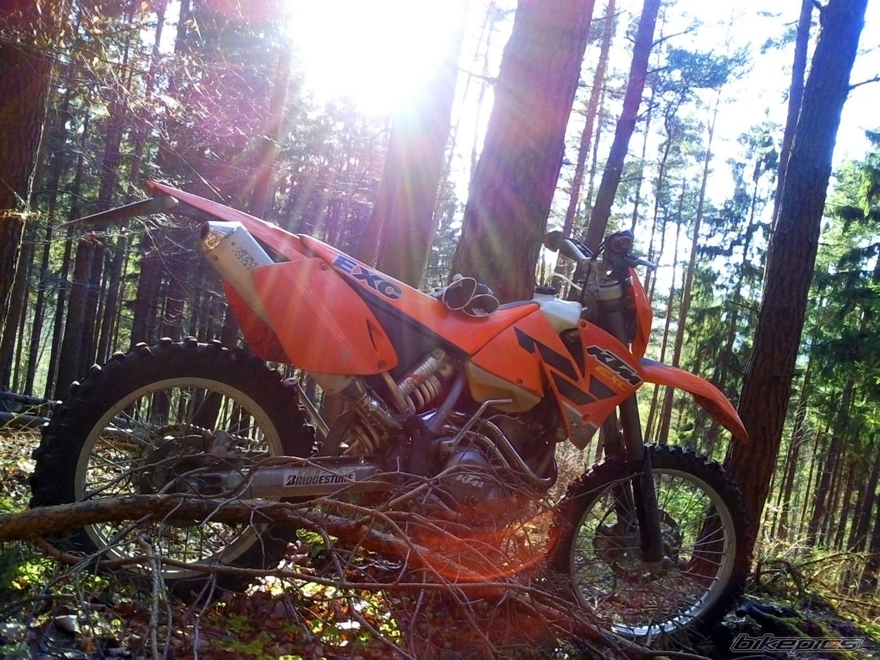 Bike Photo 1976258