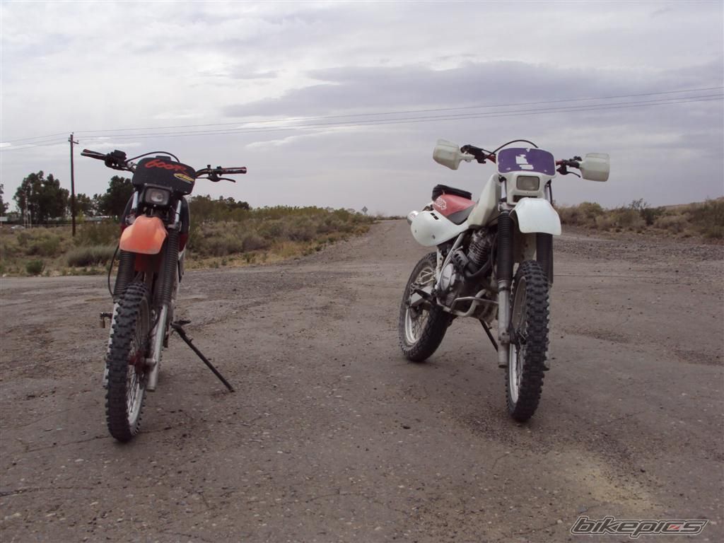 Bike Photo 1976393