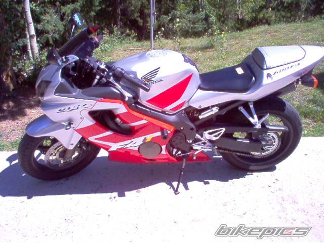 Photo 197641
