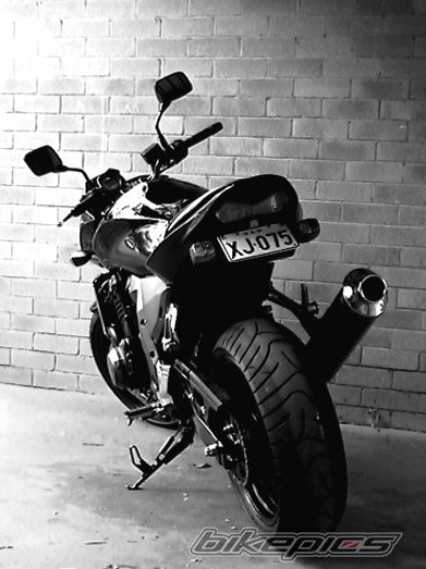 Photo 1976450