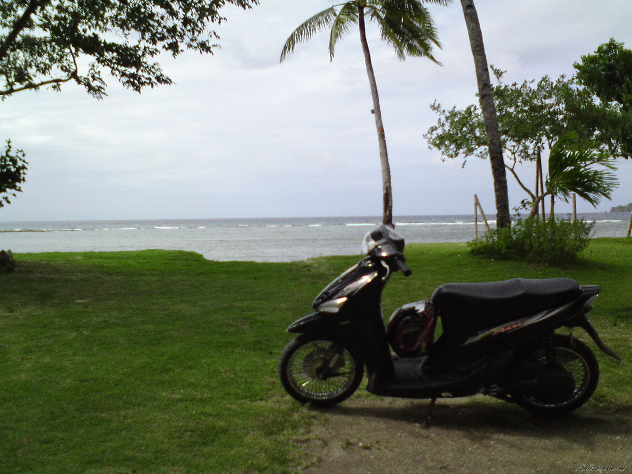 Photo 1976455