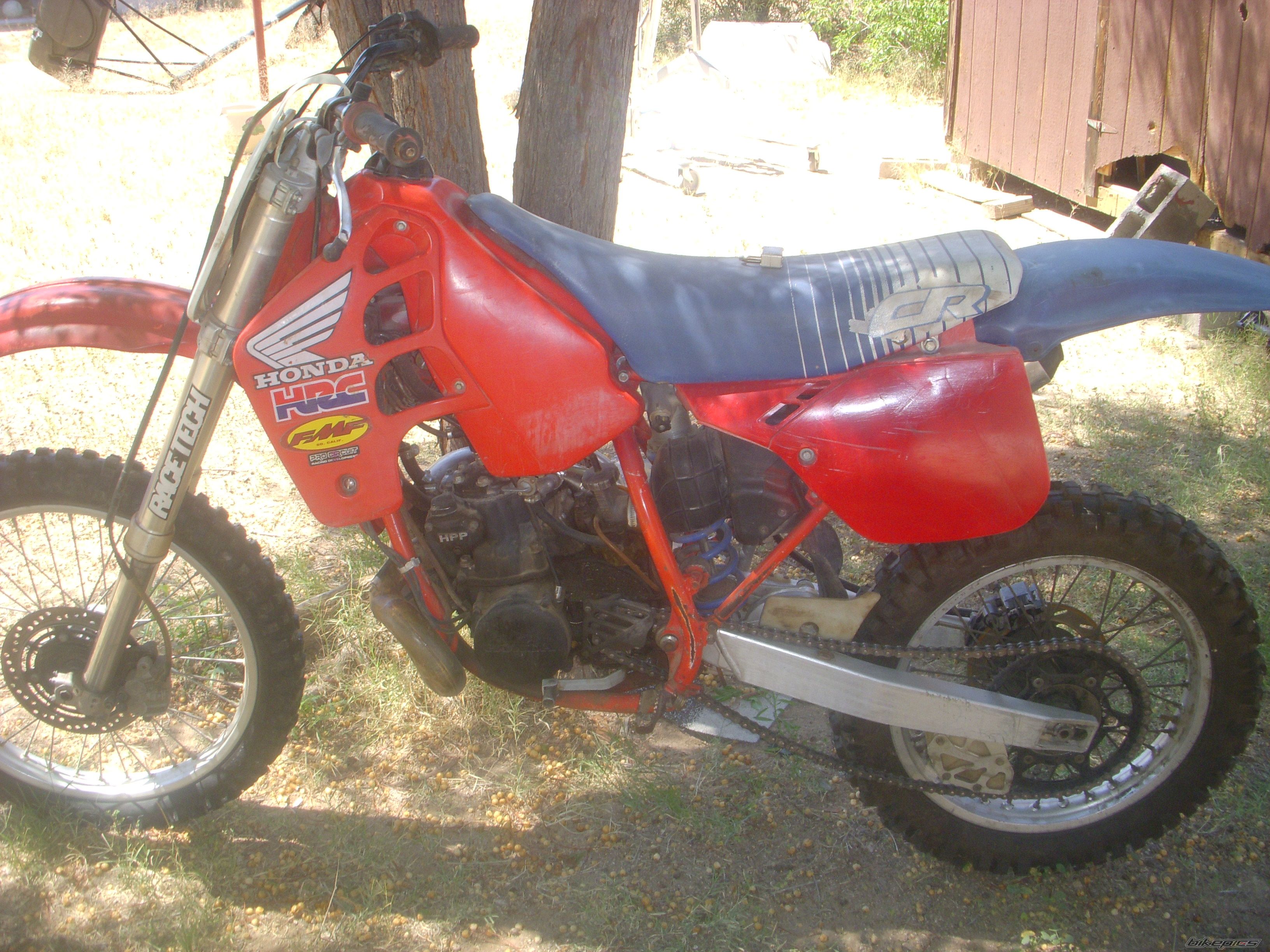 Photo 1976458