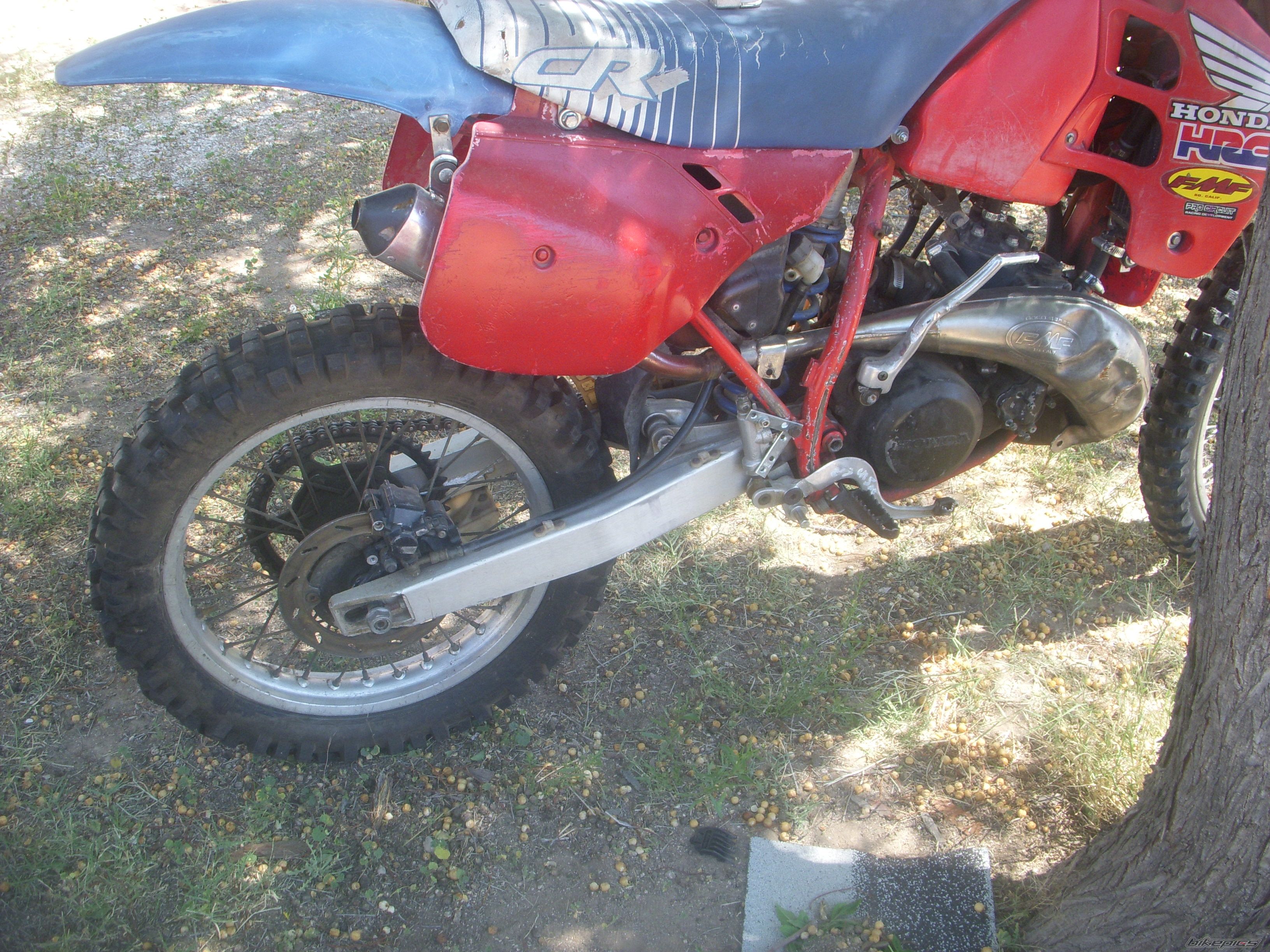 Photo 1976459