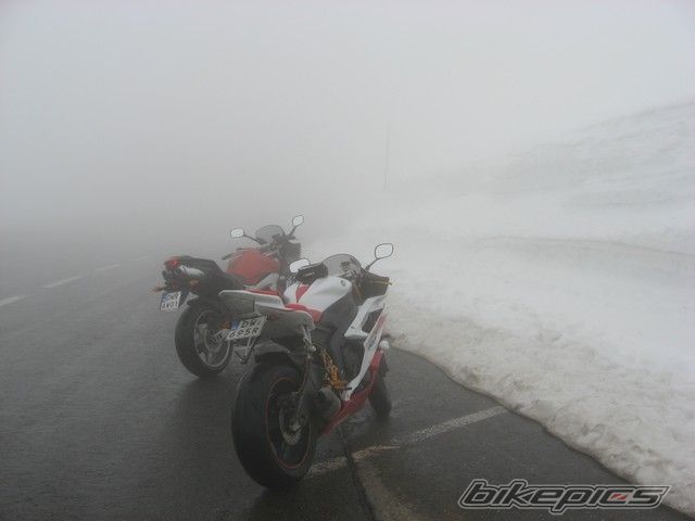 Photo 1976531