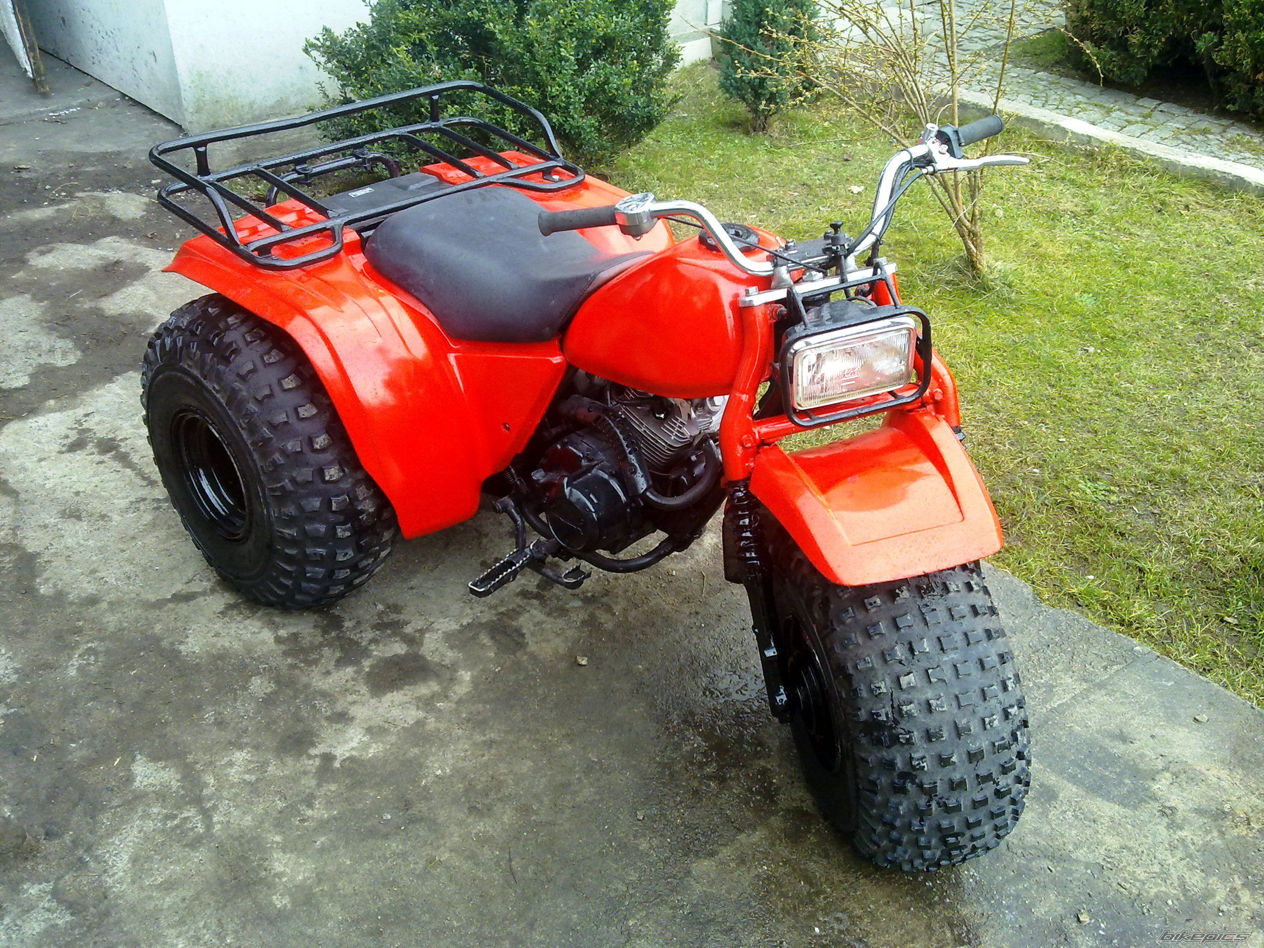 Photo 1976715