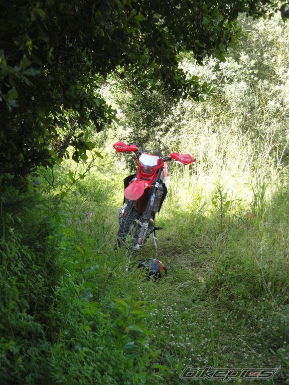 Photo 1976722