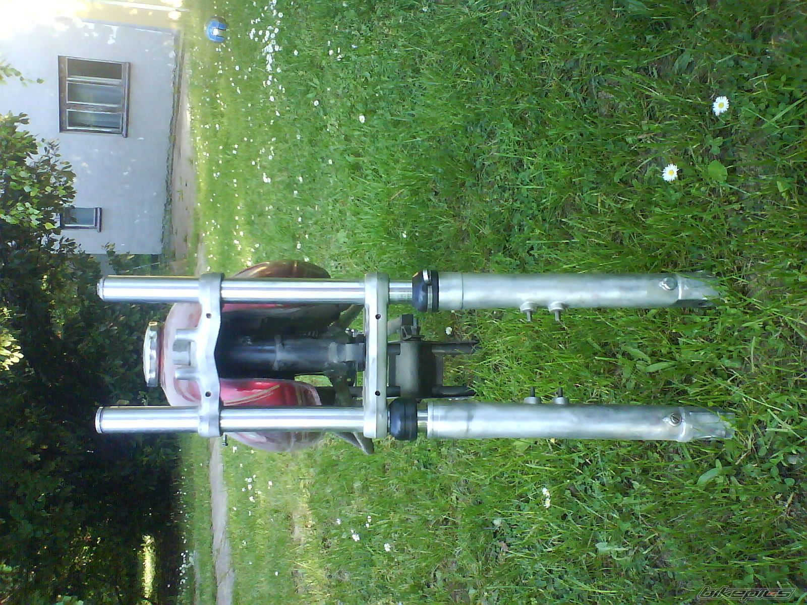 Photo 1976845