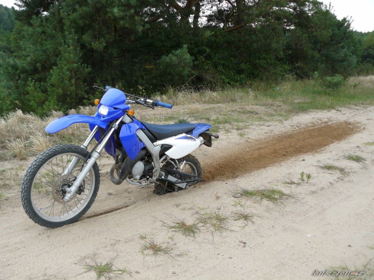 Photo 1976849