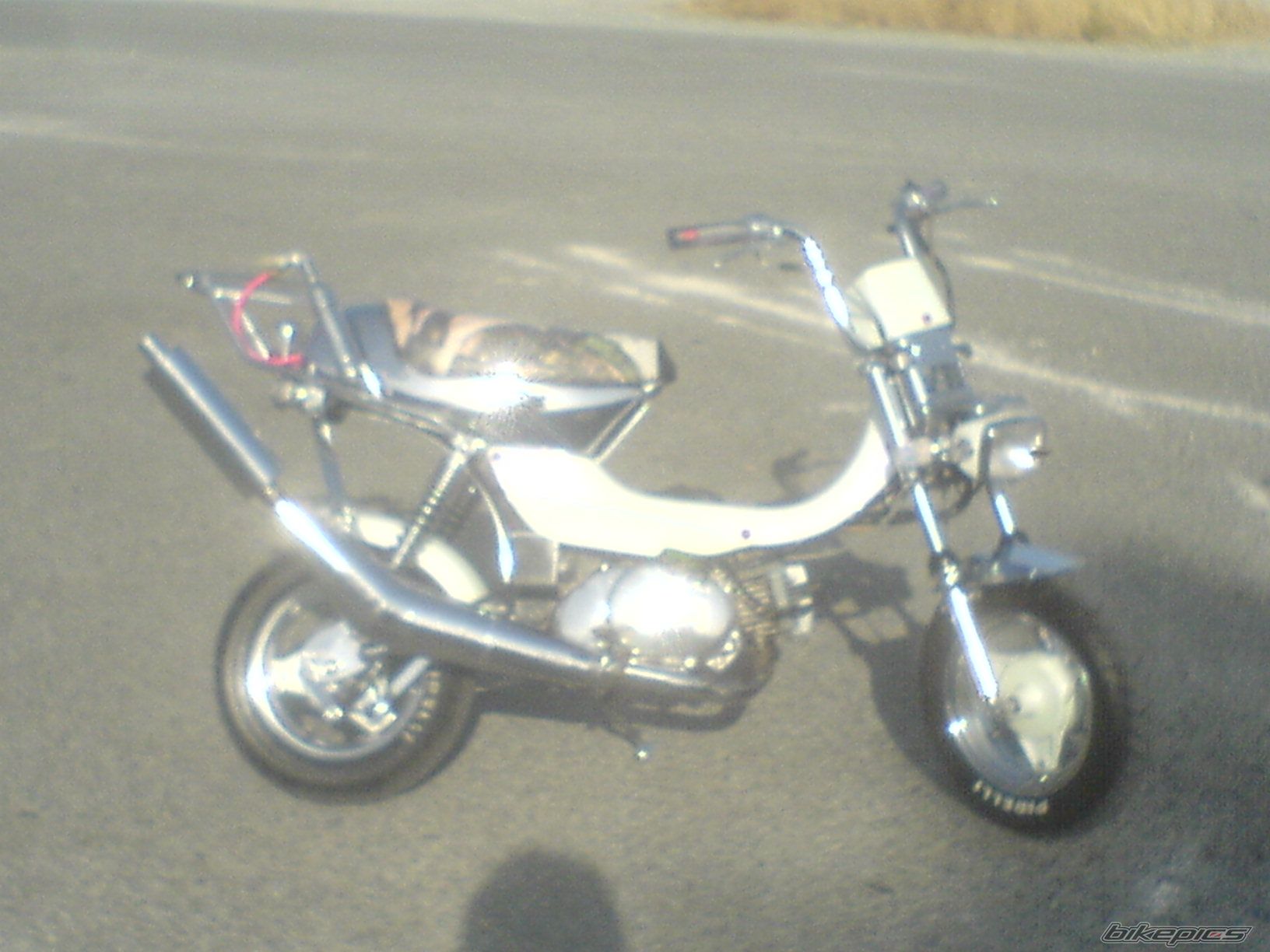 Photo 1977127
