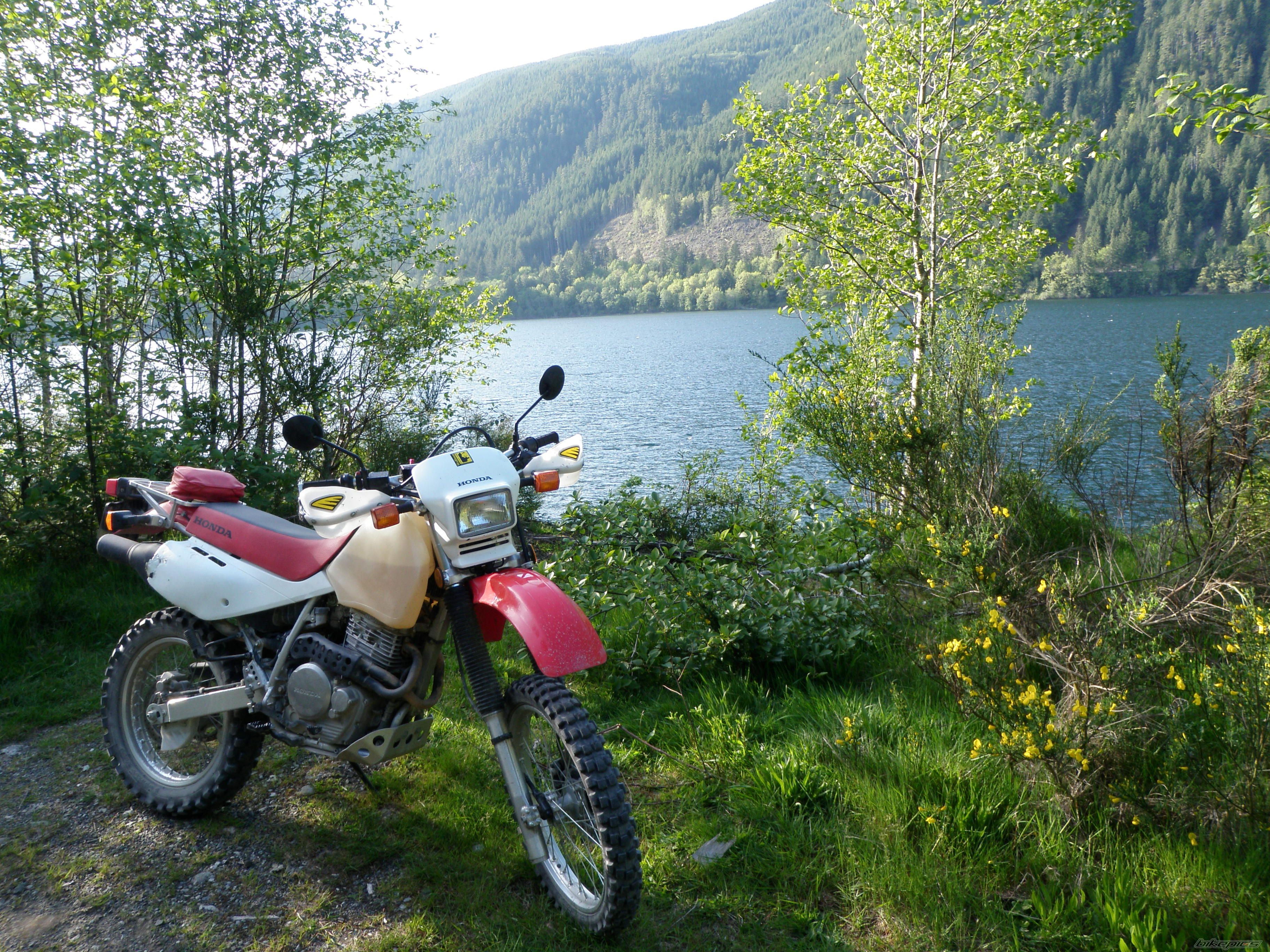 Photo 1977429