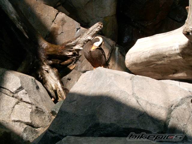 Photo 197746