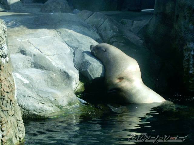 Photo 197749
