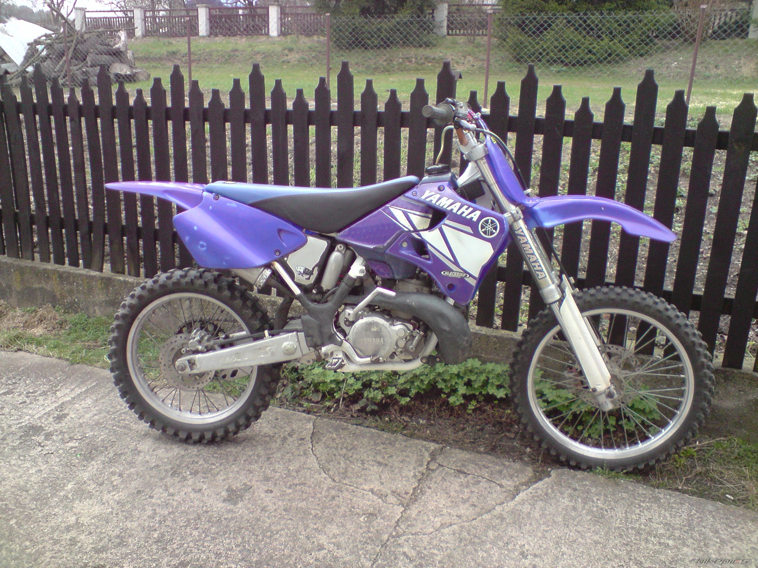 Photo 1977548