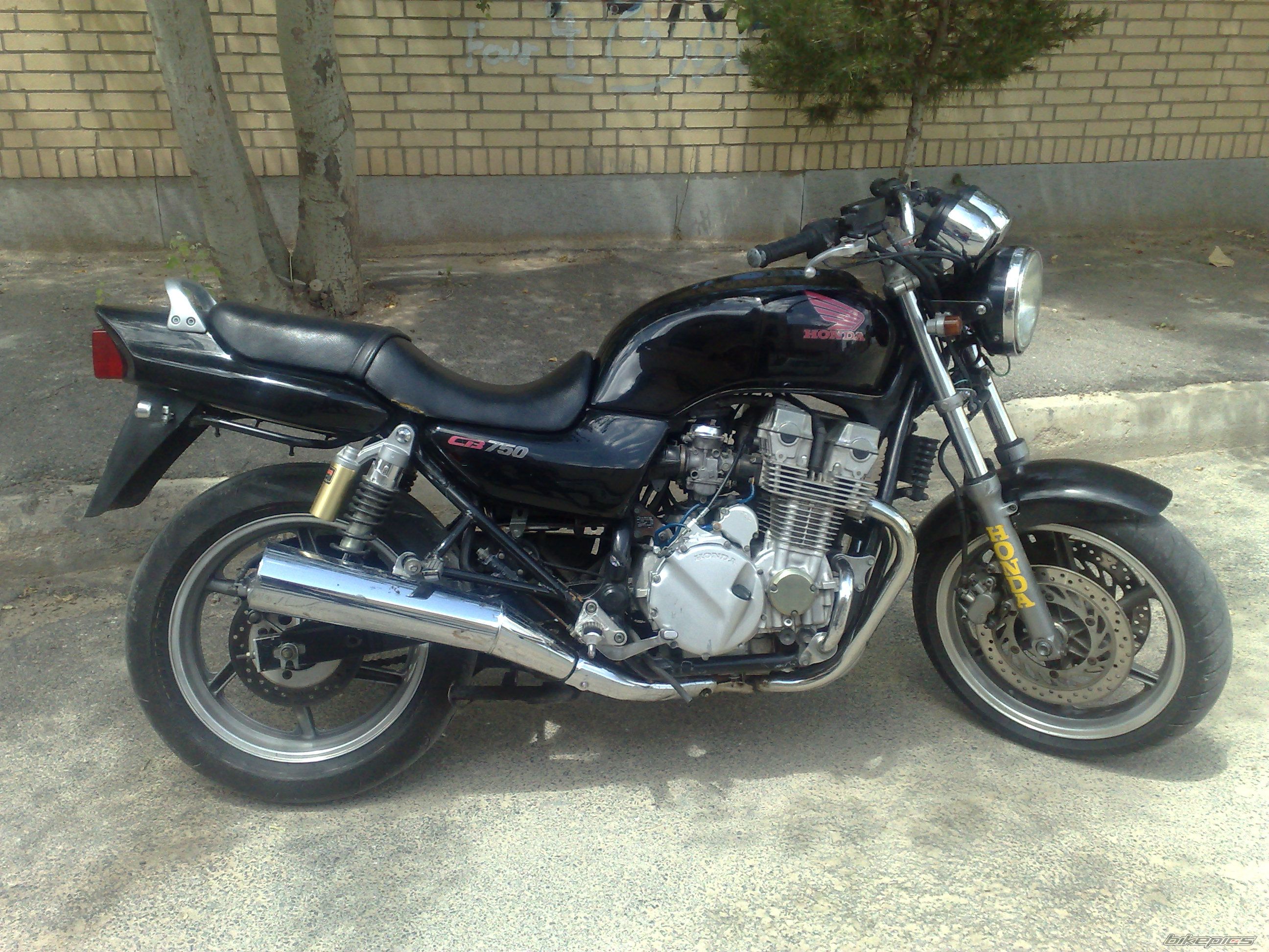 Bike Photo 1977561