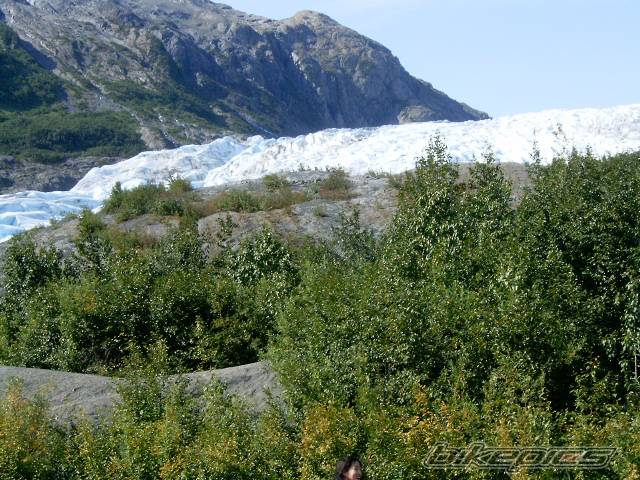 Photo 197759