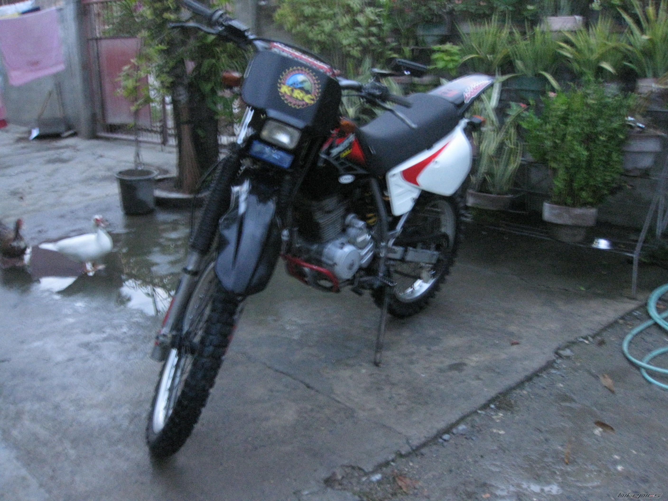 Photo 1977596