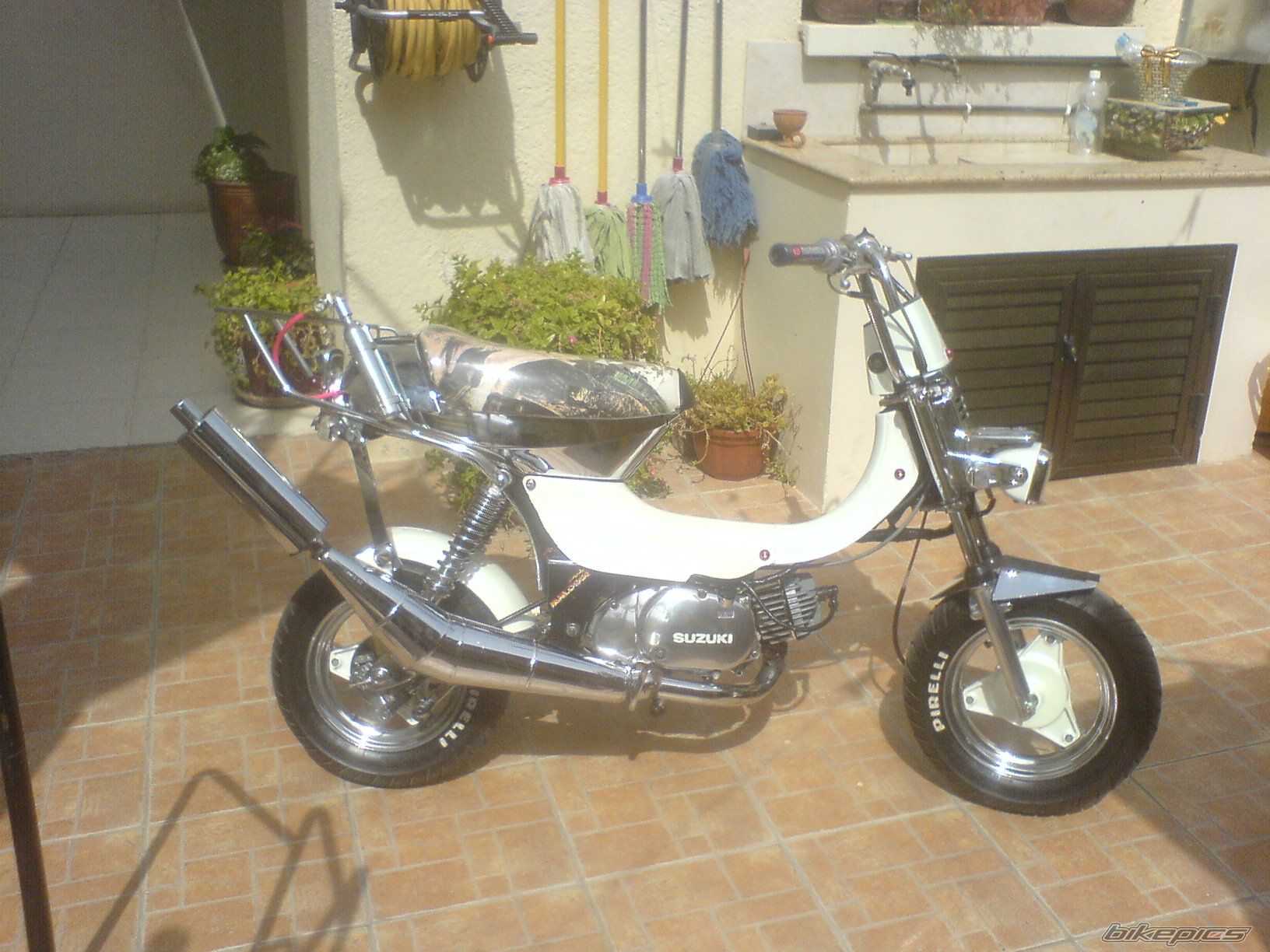 Photo 1977597