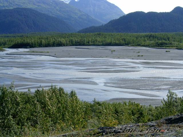 Photo 197761